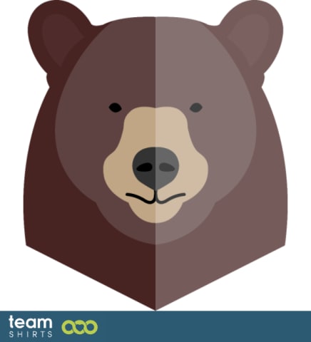 Bear face