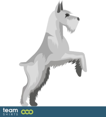 09 dog vectorstock 6728371