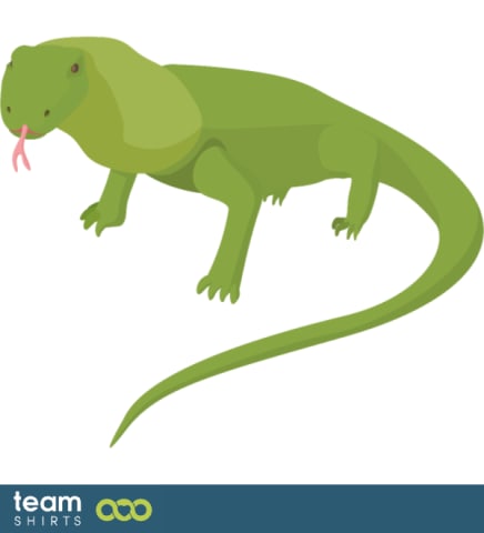 Lizard
