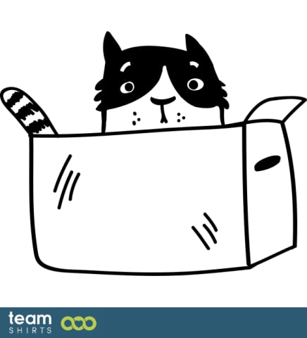 cat in a box