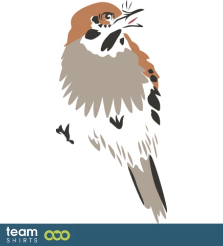 sparrow