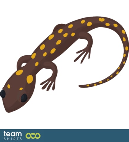 Lizard