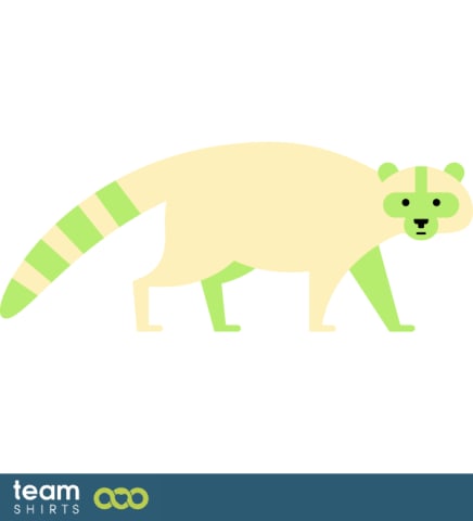 raccoon