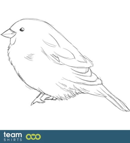 sparrow