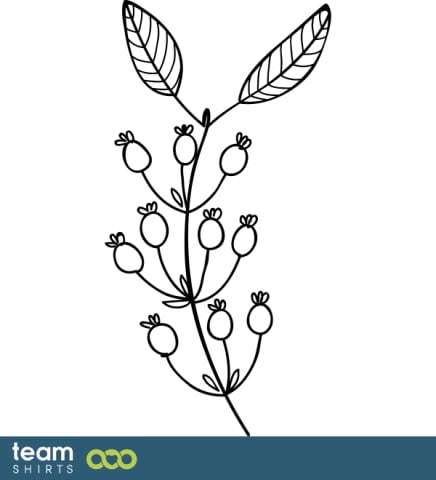 grass plant