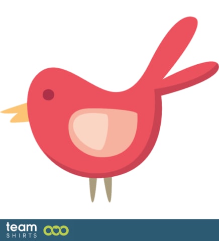 little bird