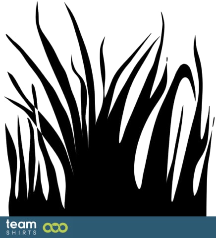 Grass