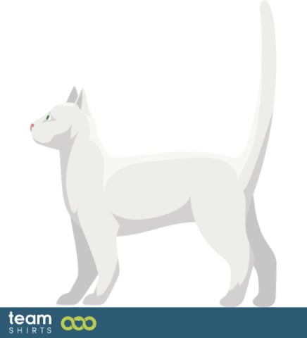 white cat
