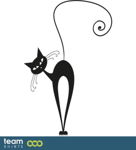 cat's back