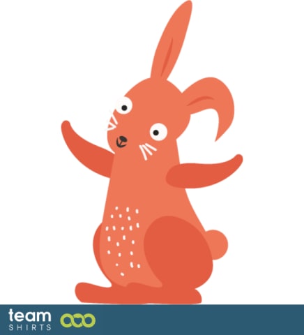 rabbit