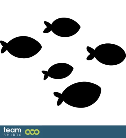 school of fish