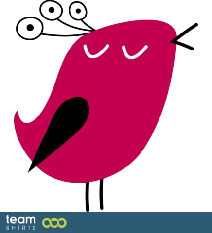 little bird