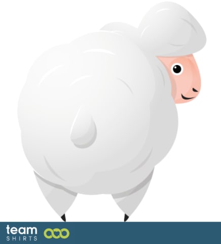 sheep