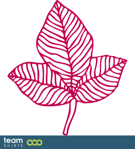 Box Elder leaf