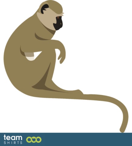 monkey