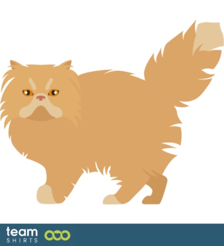 Vectorstock 10334014ModernPersianCatpng0146
