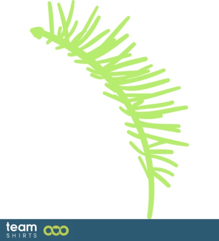 branch