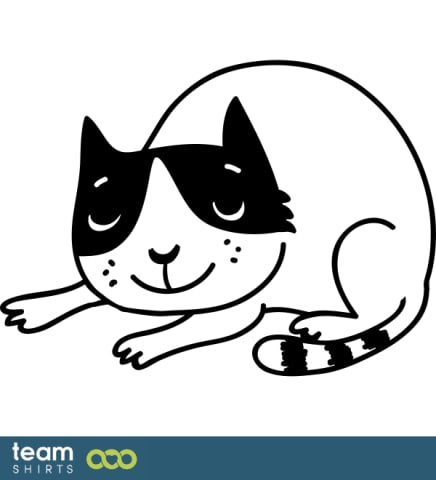 sleeping cat