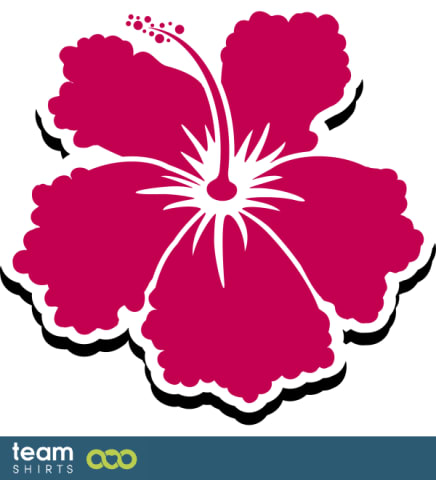 Hawaiian lei