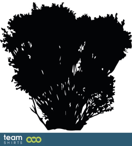 bush