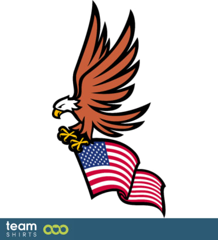 USA eagle