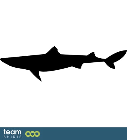whitetip shark
