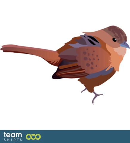 tanager
