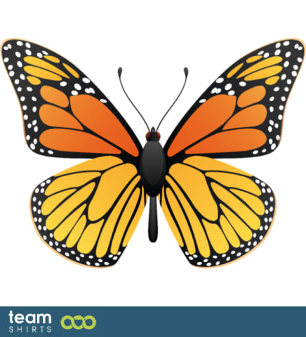Monarch butterfly