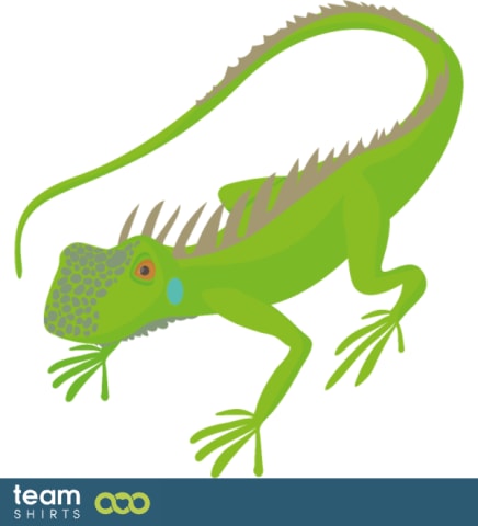 Lizard