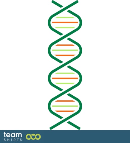 DNS spiral