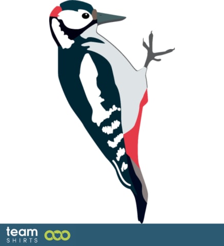 woodpecker