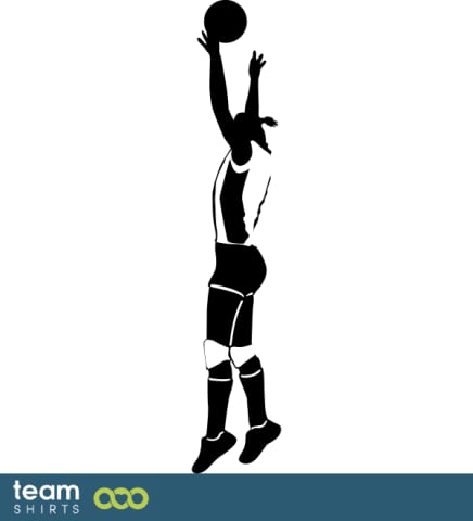 Volleyball Player