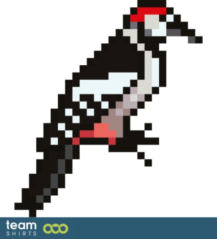 woodpecker