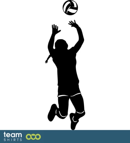 Volleyball Player