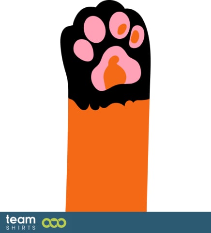 colourful cat paw
