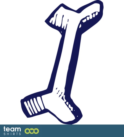 arm bone