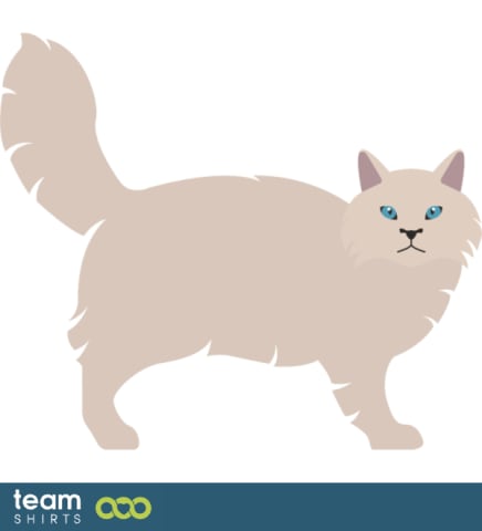 07 cat vectorstock 10334020