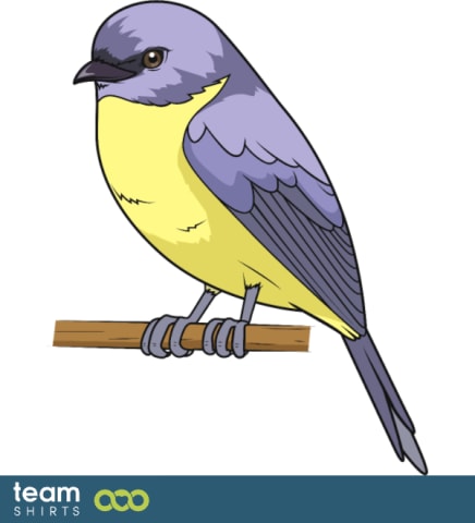 bird