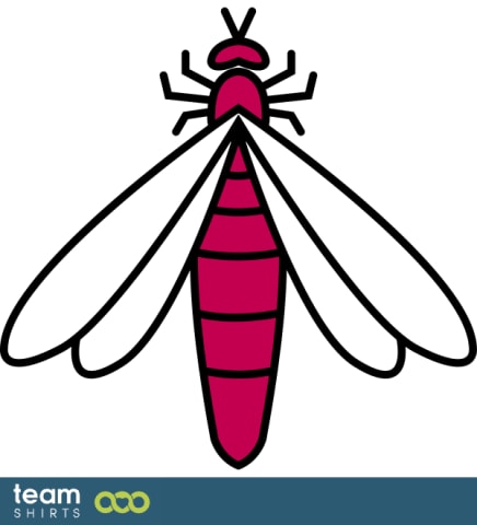 Insect
