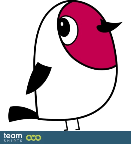 little bird