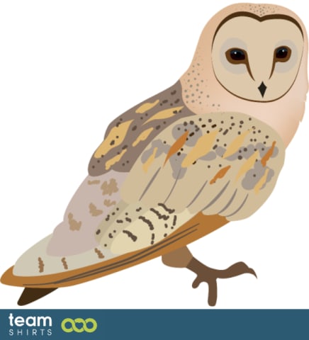 owl