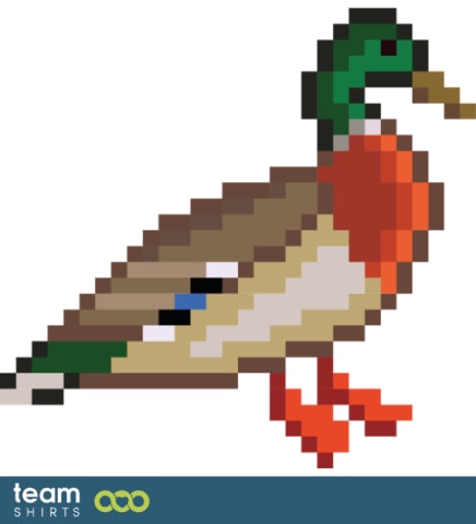 duck