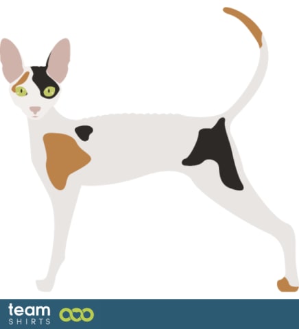 04 cat vectorstock 10334020