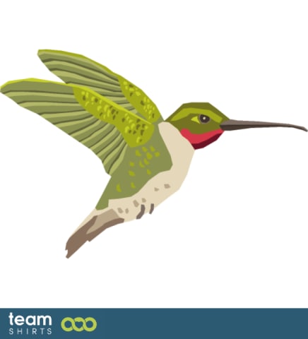 humming bird