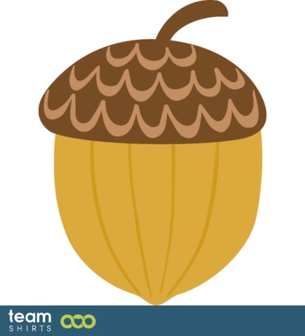 Acorn