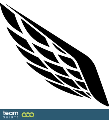 Wing 1