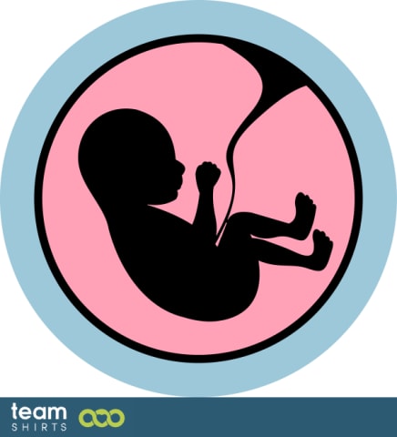 embryo