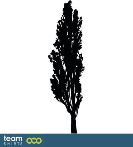 pine tree