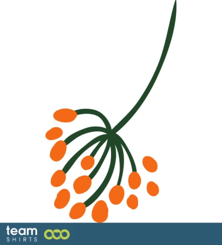 berries