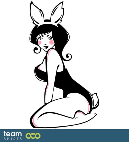 Bunny pin up
